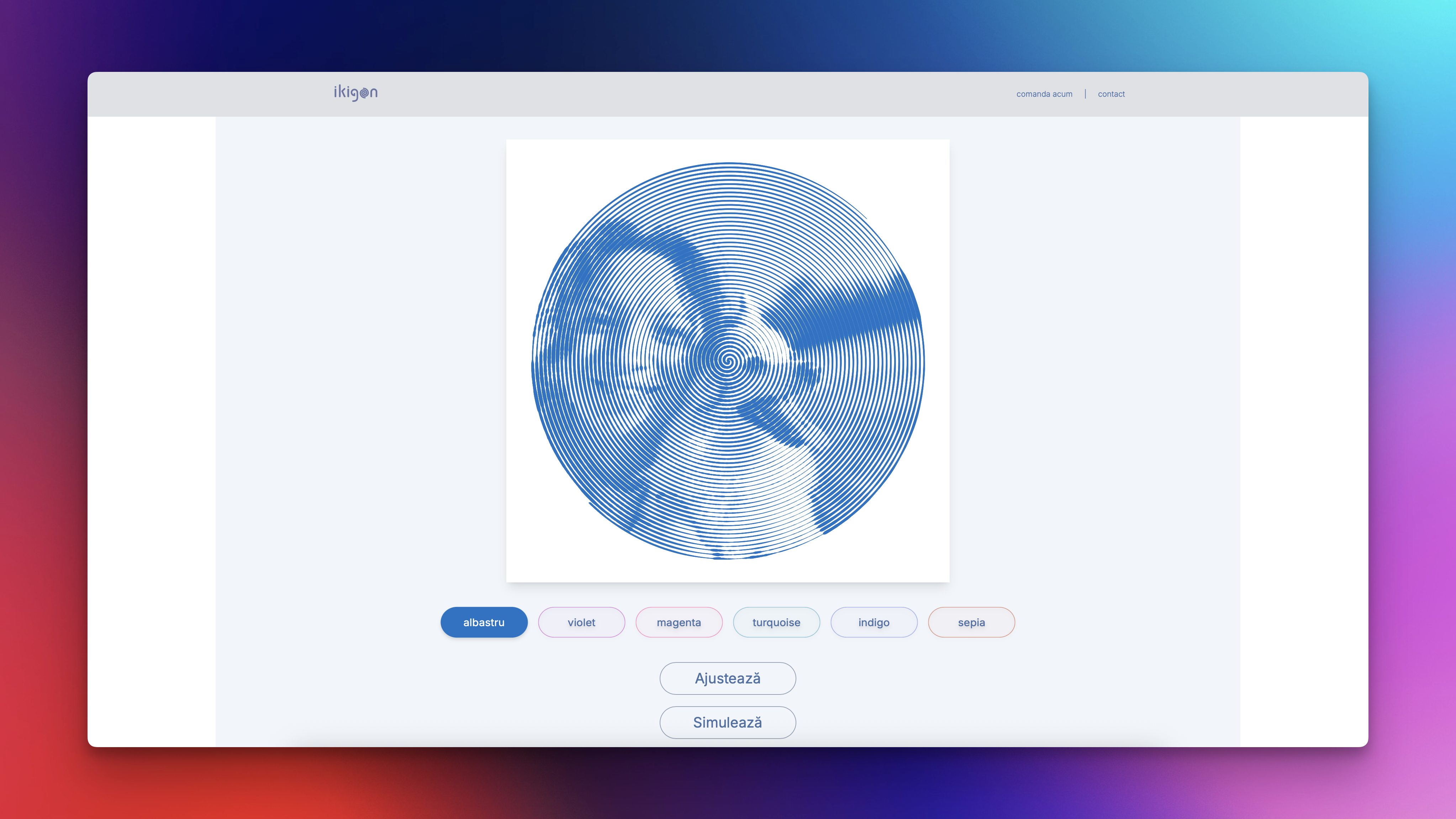 ikigon.com preview